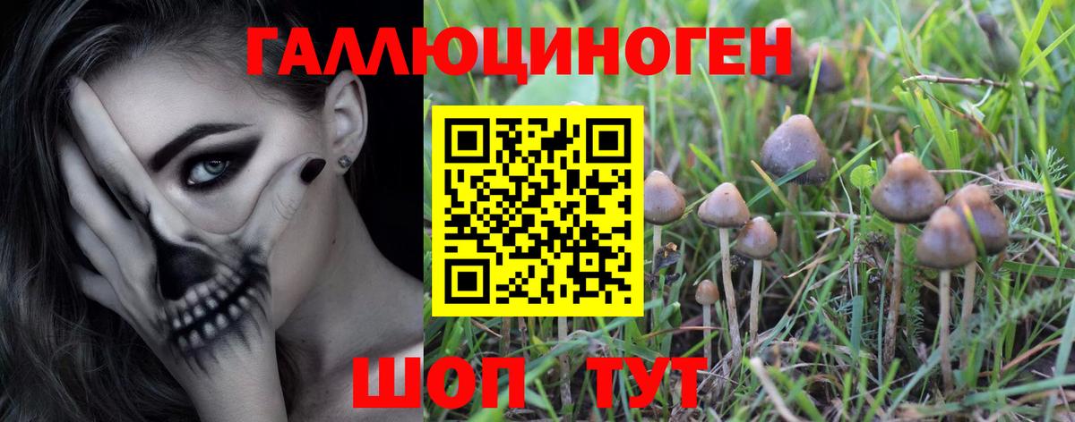 Псилоцибиновые грибы прущие грибы Таганрог