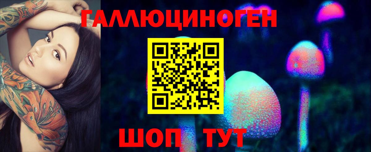 Таганрог  Галлюциногенные грибы Psilocybine cubensis  Вход с VPN 